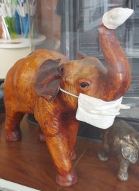 Meran-Elefant