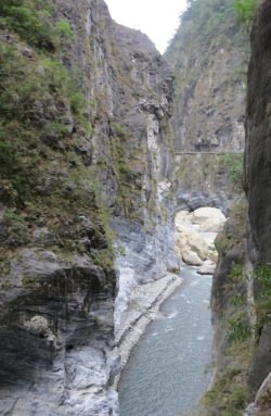 Taroko